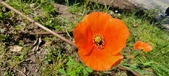 Enlarge photo 562