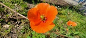 Enlarge photo 561