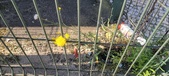 Enlarge photo 718
