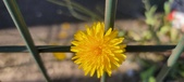 Enlarge photo 717