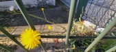 Enlarge photo 715