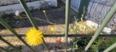Enlarge photo 714