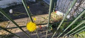 Enlarge photo 713