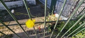 Enlarge photo 712