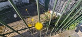 Enlarge photo 711