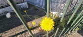 Enlarge photo 710