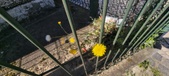 Enlarge photo 706