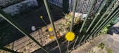 Enlarge photo 705