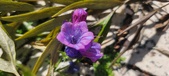 Enlarge photo 702