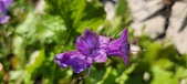 Enlarge photo 689