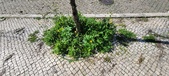 Enlarge photo 688