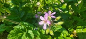 Enlarge photo 684
