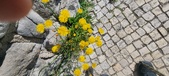 Enlarge photo 682