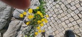 Enlarge photo 681