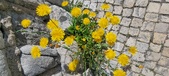 Enlarge photo 678