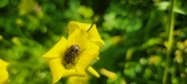 Enlarge photo 669