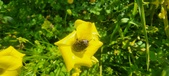 Enlarge photo 668