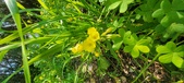 Enlarge photo 664
