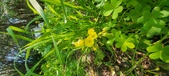 Enlarge photo 662