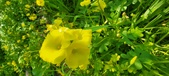 Enlarge photo 660