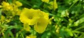 Enlarge photo 657