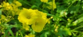 Enlarge photo 656