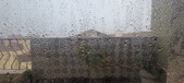 Enlarge photo 120