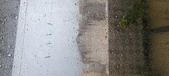Enlarge photo 142