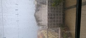 Enlarge photo 144