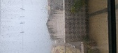 Enlarge photo 145