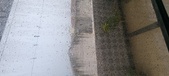 Enlarge photo 146