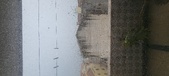 Enlarge photo 147