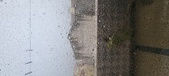 Enlarge photo 150