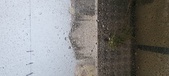 Enlarge photo 151