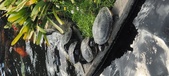 Enlarge photo 158