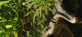 Enlarge photo 349