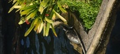 Enlarge photo 346
