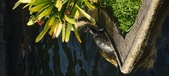 Enlarge photo 345