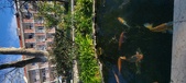 Enlarge photo 344
