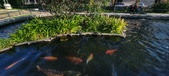 Enlarge photo 343