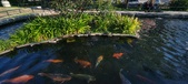 Enlarge photo 342
