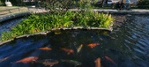 Enlarge photo 341