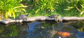 Enlarge photo 339