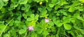 Enlarge photo 306