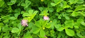 Enlarge photo 305