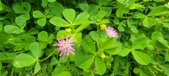 Enlarge photo 304