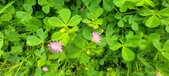 Enlarge photo 303