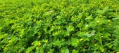 Enlarge photo 298