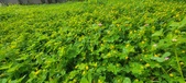 Enlarge photo 295