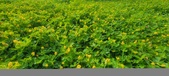 Enlarge photo 310